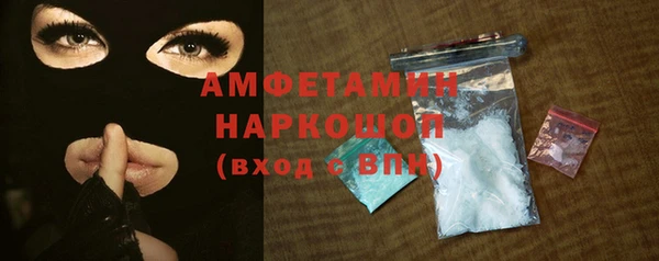 индика Грязовец