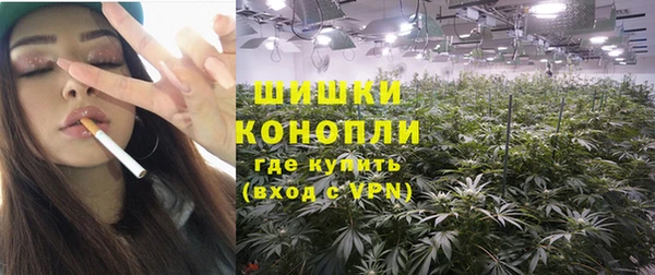 прущая мука Губаха