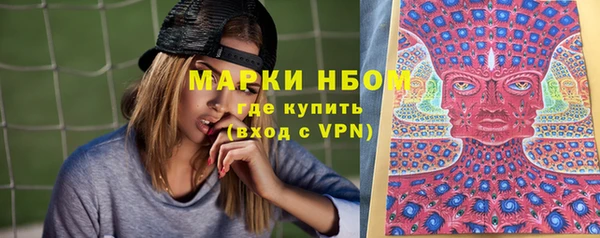 СК Кодинск